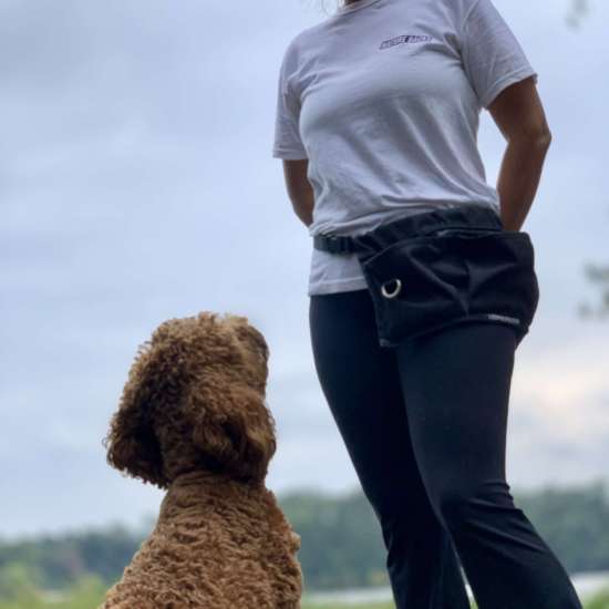 Female training Dog to stay